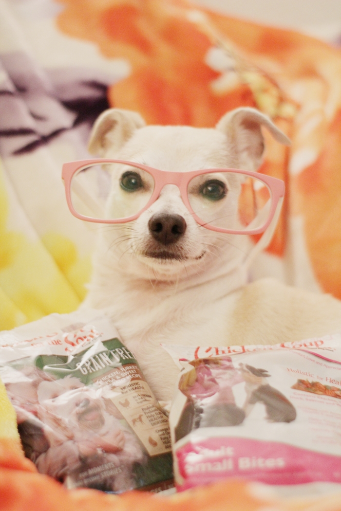 HAPPYHAZEL HAPPY IS MY HERO! Show Us Your Hero! with Chicken Soup for