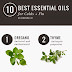 10 Essential Oils for Staying away from Cold and Flu this Winter