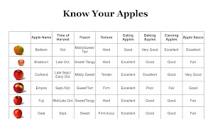 When Is Apple Harvest Season

