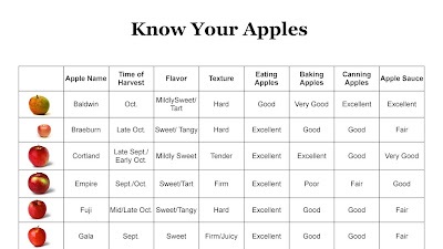 When Is Apple Harvest Season
