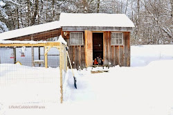 coop chicken cobble hill farm specs