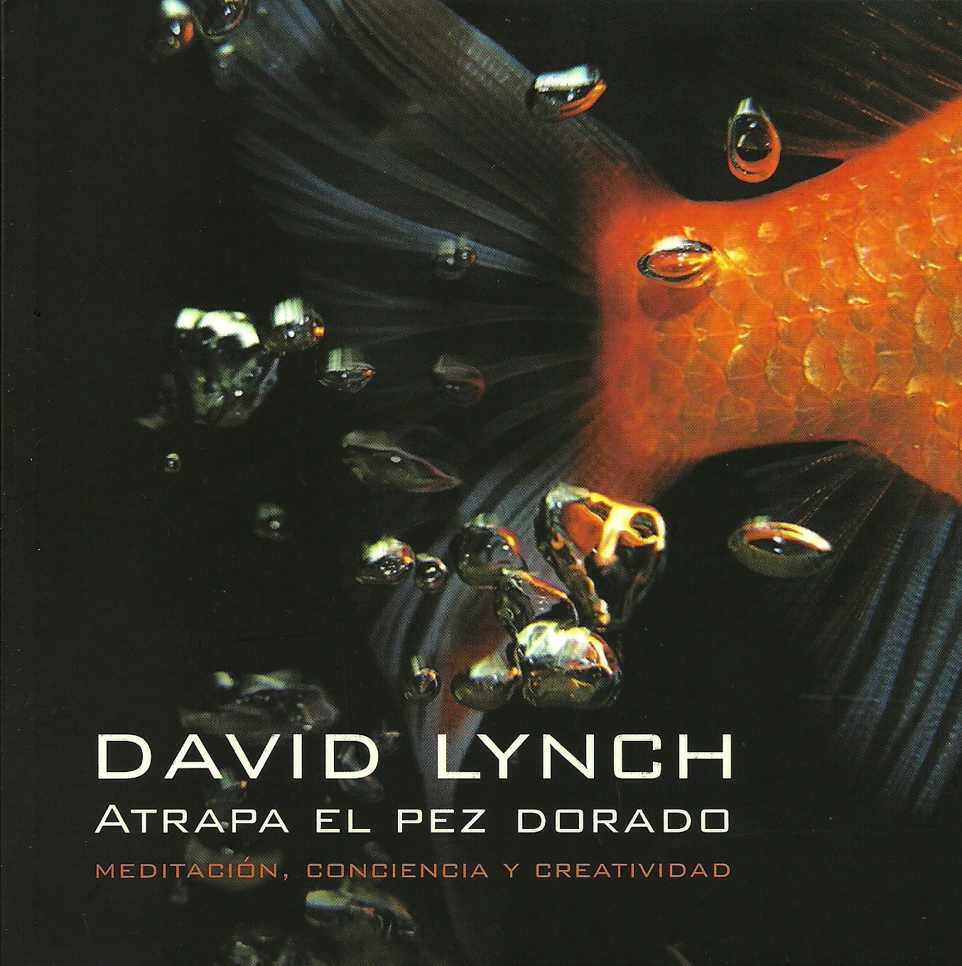 * Catching the big fish / Atrapa el pez dorado (fragmento) David Lynch * Catching the big fish / Atrapa el pez dorado (fragmento) David Lynch