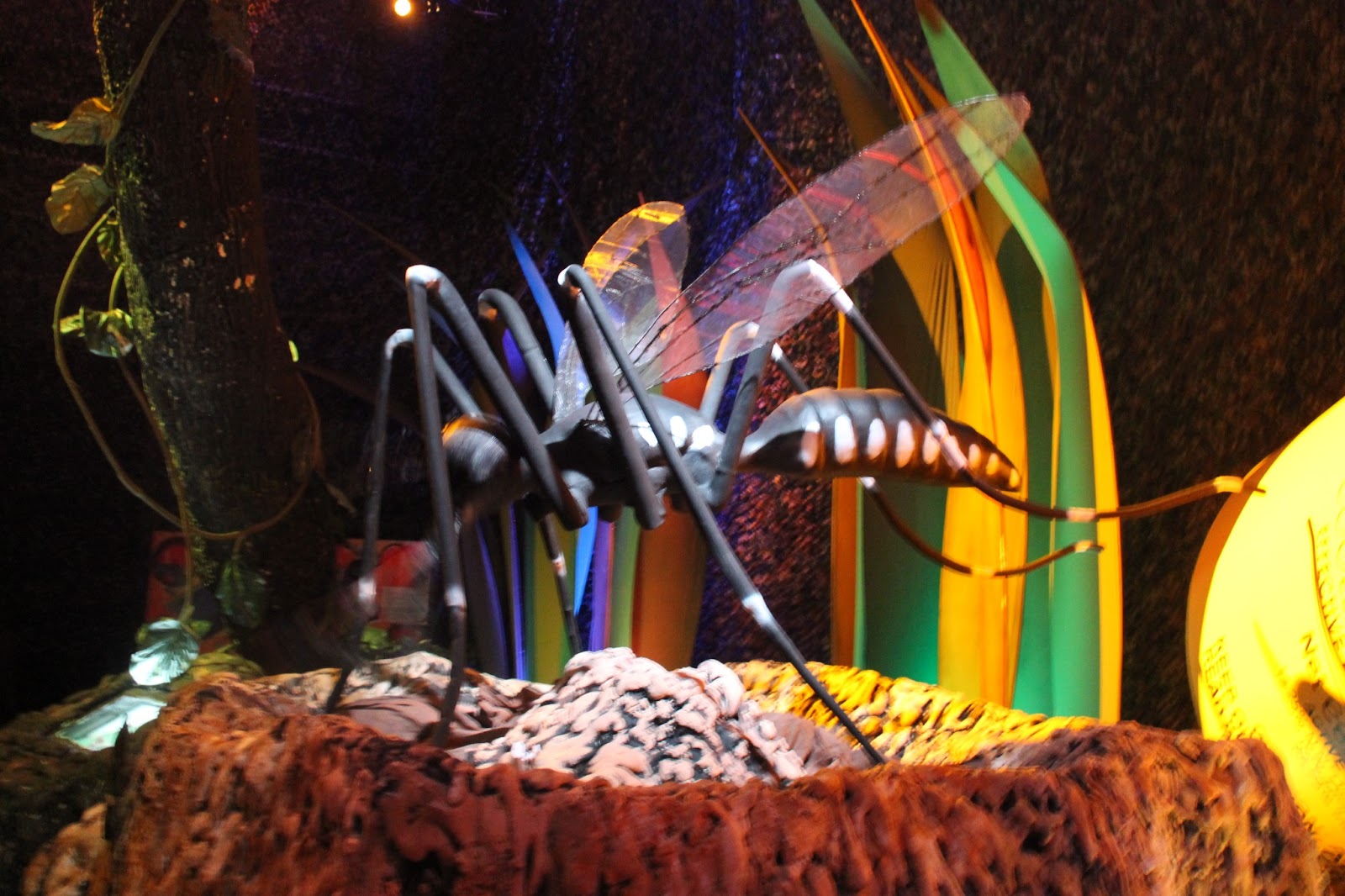 MINNESOTA BABY Mega bugs return to the singapore science centre.