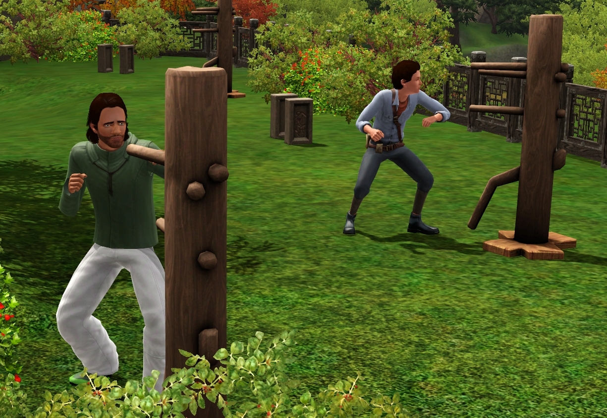 A Sims 3 through history legacy challenge Chapter 77 Martial Arts