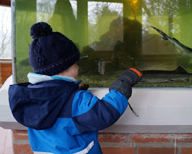 Tierpark Neumünster Kinder Familie Herbst Winter Frühjahr Fütterung Aquarium