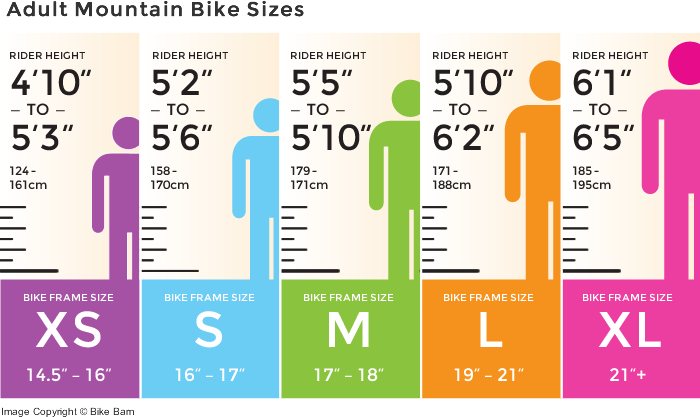 Bicycle Guide: Guide to Choosing a Bicycle - Bike Sizes ADult