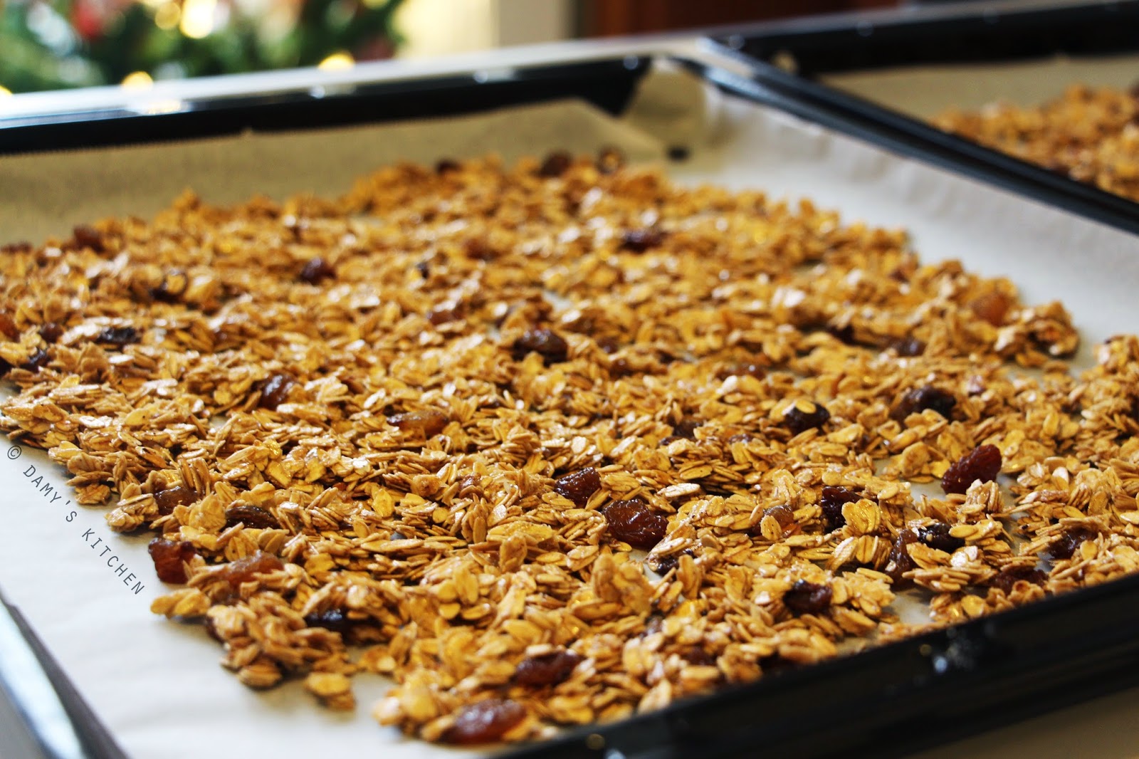 GINGERBREAD GRANOLA Damy's Kitchen