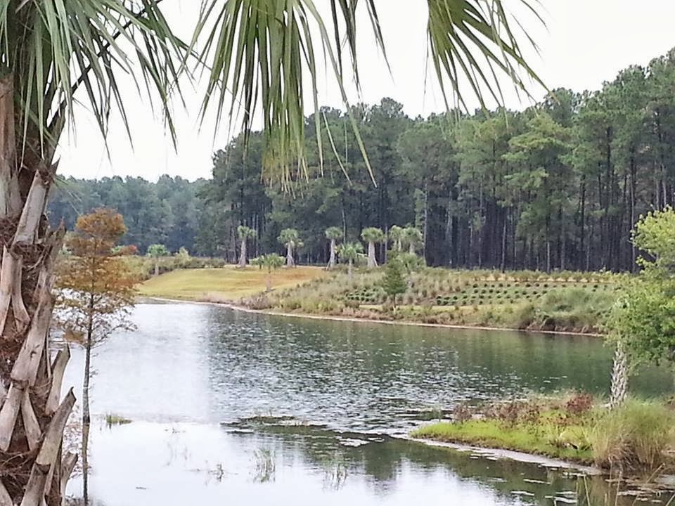 Charleston, SC Real Estate The Hidden Gem at Cane Bay Plantation