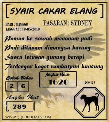 SYAIR SYDNEY 19-05-2019