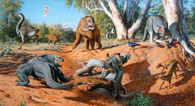 A Austrália antes da chegada dos sapiens. Um leão-marsupial (Thylacoleo) defende sua presa de um dragão (Megalania) enquanto um diprotodon, um canguru-gigante e dois tilacinos observam. Um mihirung (Genyornis) foge pela esquerda. Ilustração: Peter Trusler / Museu Victoria