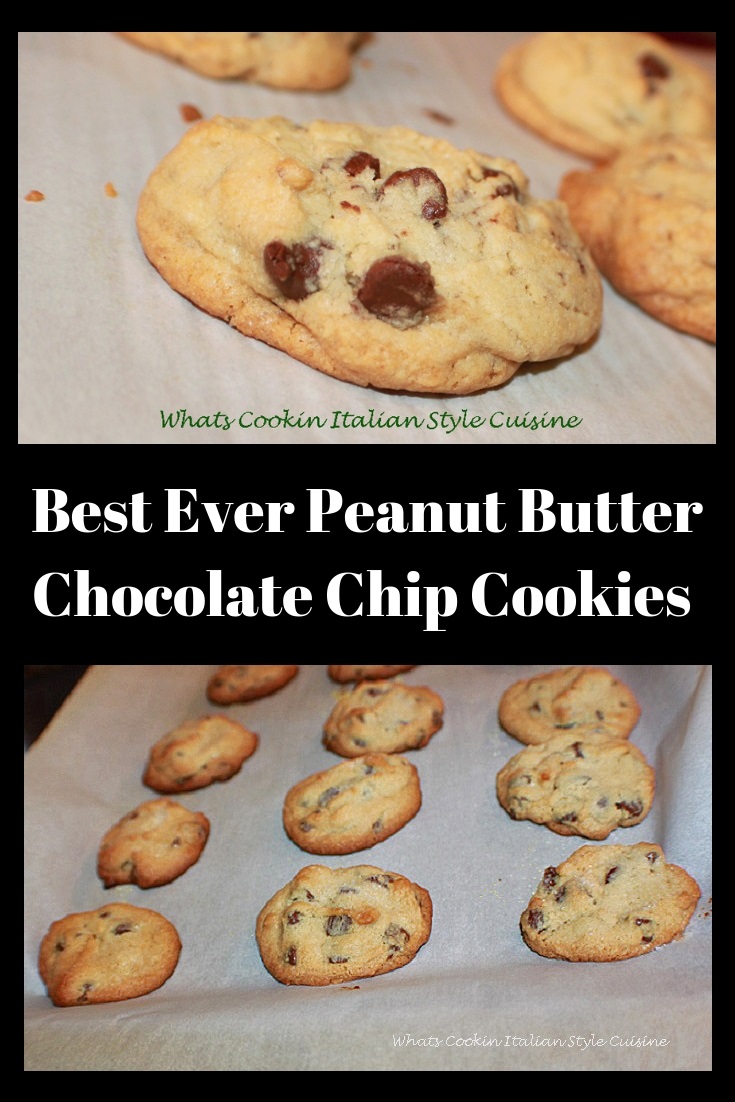 these are a buttery peanut butter homemade from scratch cookie with chocolate chips in them. These are how to make the best ever peanut butter chocolate chips cookies. These cookies are on a cookie sheet with parchment paper on them so they wont stick and are easy to remove after cooling.