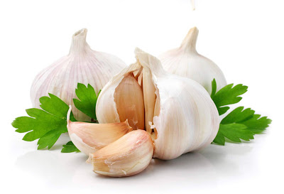 persianfuns: 35 health benefits of garlic