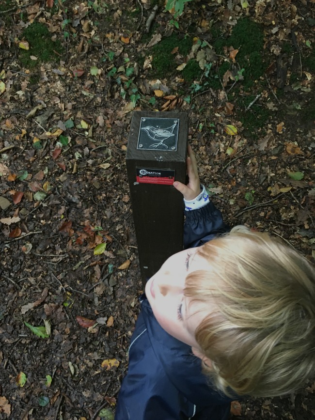 toddler-and-post-with-plaque-of-a-songbird-cwm-carn-forest