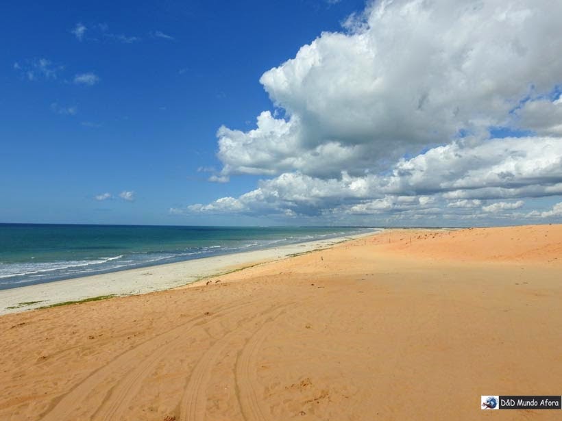 Praia do Preá - Passeio de um dia em Jericoacoara - o que fazer e como chegar Praia do Preá - Passeio de um dia em Jericoacoara - o que fazer e como chegar