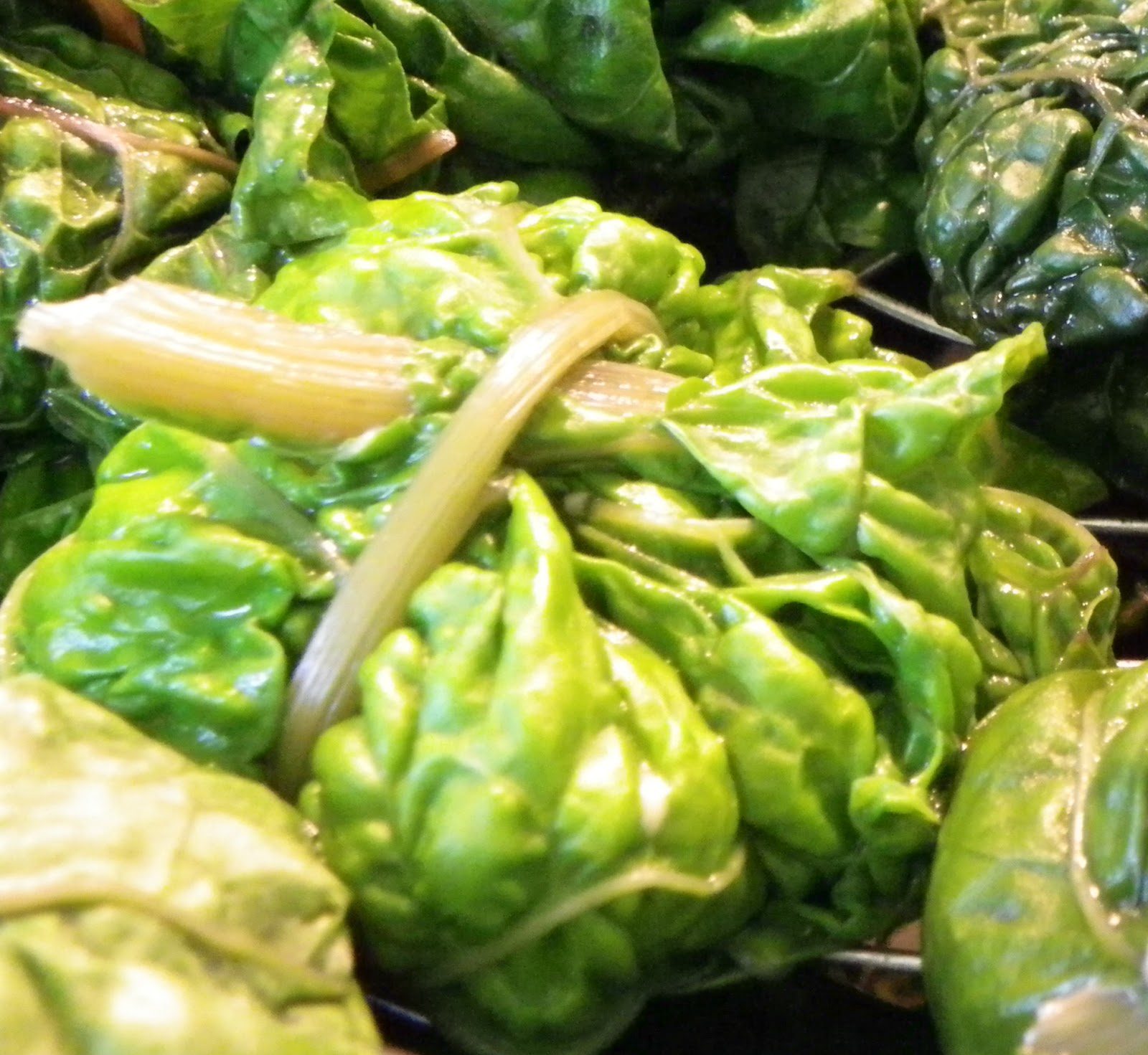 Grossmama`s Schatzkiste Capuns