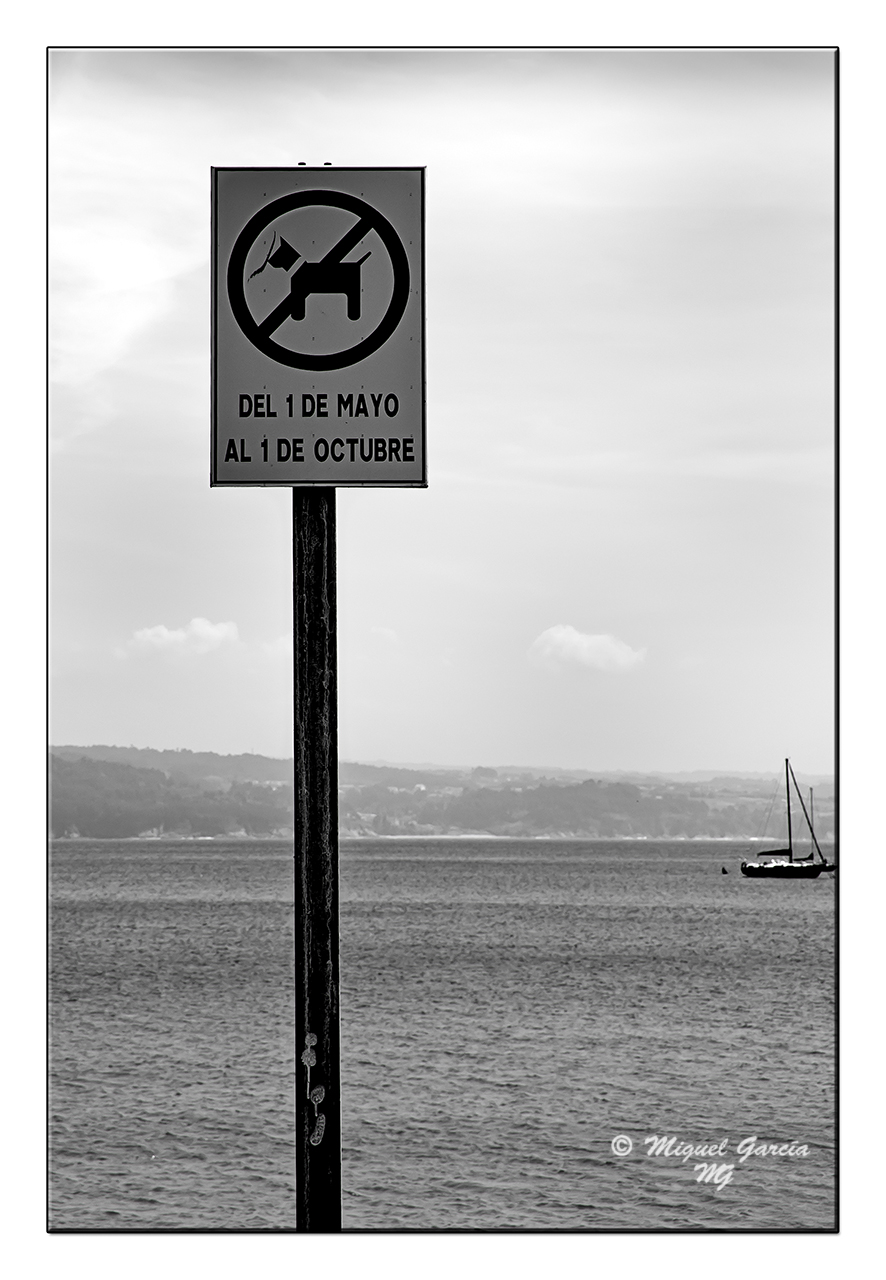 Ares (A Coruña). No aparque perros en el agua.