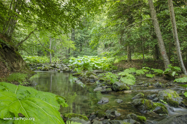 Gradeska River, Mariovo Region, Macedonia