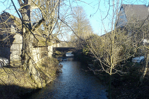 Christoph Roos Birsig