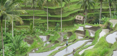 Bali tour package 4 days full day tour 