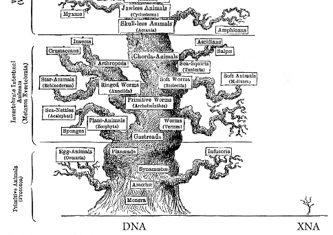 Biologer Ruang Lingkup Biologi