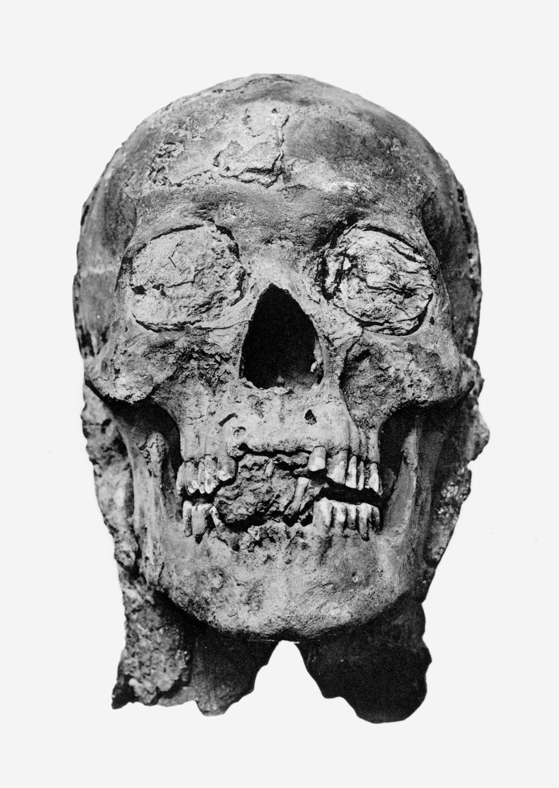 head research: November 2012