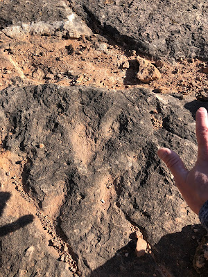Dinosaur footprint north of Kanab.
