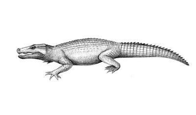 Trilophosuchus