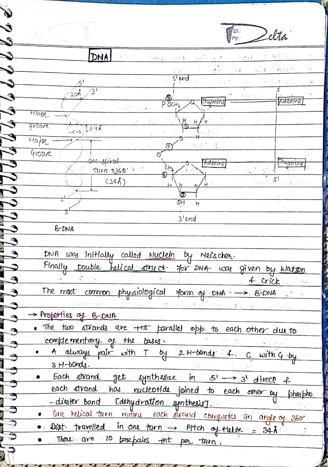 Physics Bytes Biomolecules notes(biology)