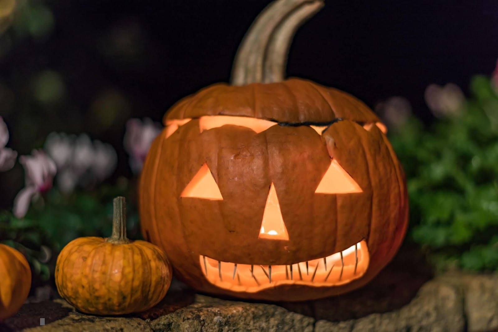 20+ Beautiful Images of Halloween Pumpkins