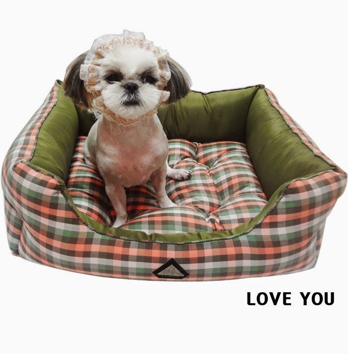 Hundezubehör für kleine und große Hunde fashion and lifestyle for