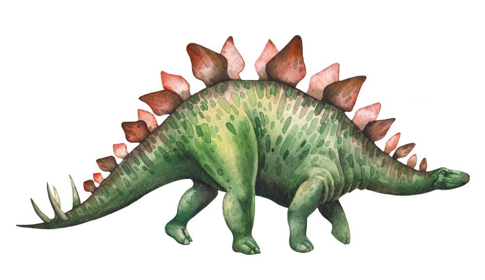 stegosaurus