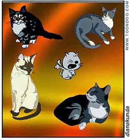 diferite rase de pisici desenate