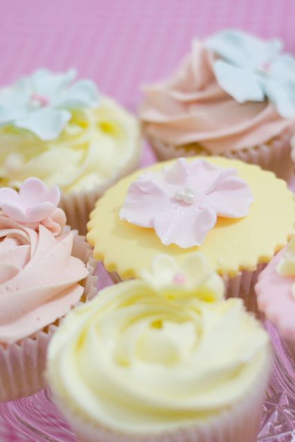 Cake Decorating Classes Derbyshire Cake Decorating Classes Derbyshire