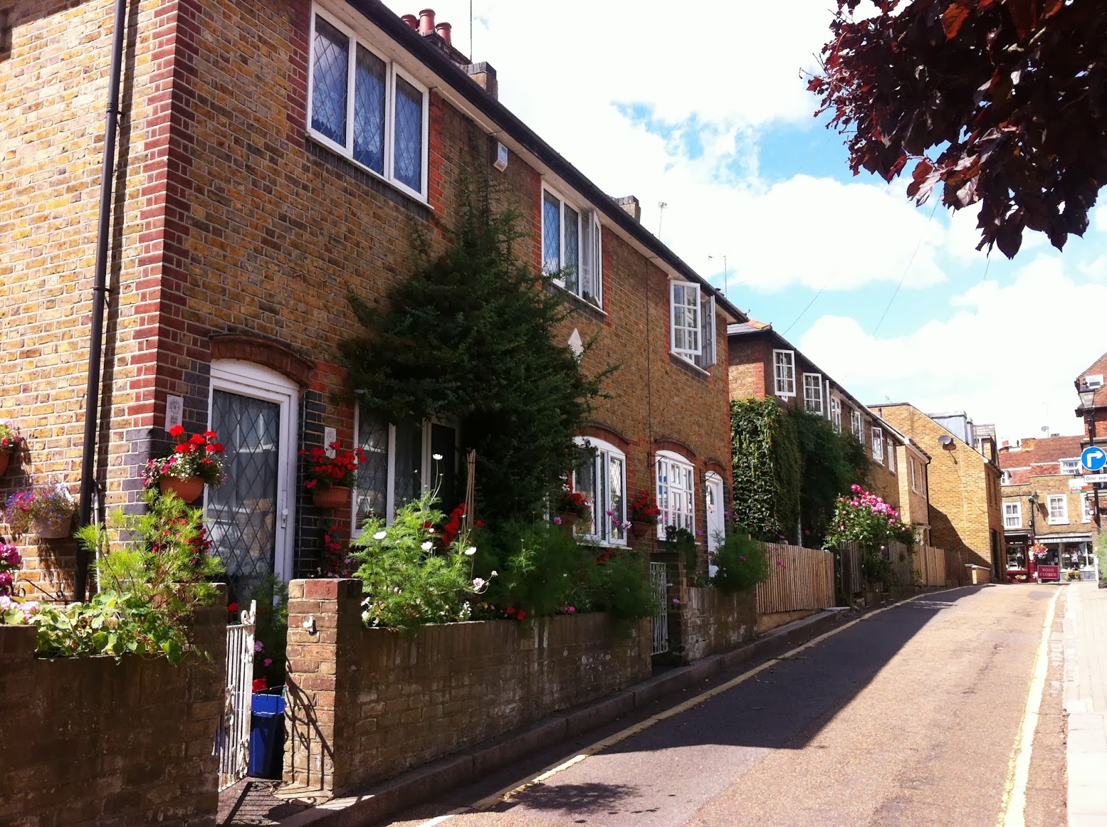 Walking the Thames Path from Richmond to Twickenham A Little Further