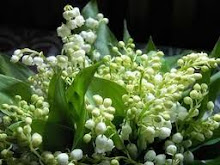 Bouquet de muguet