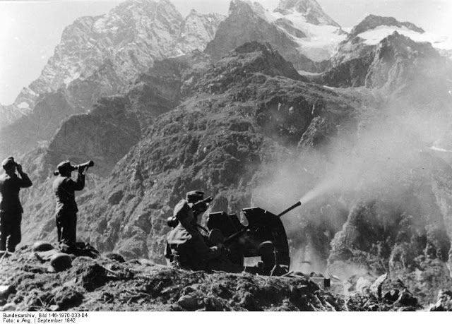 German field marshals worldwartwo.filminspector.com German mountain troops Caucasus mountains