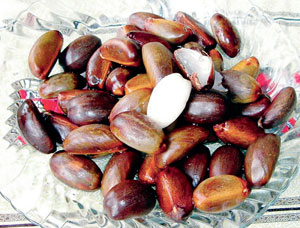 MASAKAN ALA KAMPUNG
