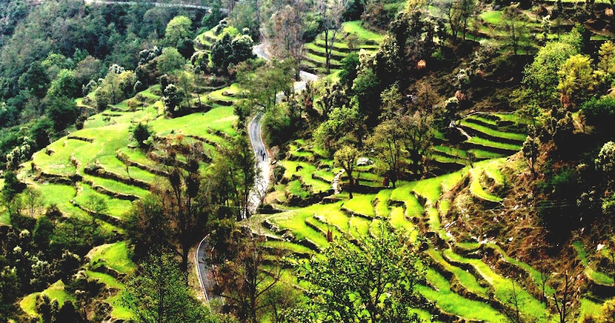 A Rainbow At the End Of The Road