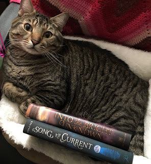 Pickles's dreamy haul~ Pickles with Into the Bright Unknown and Song of the Current.