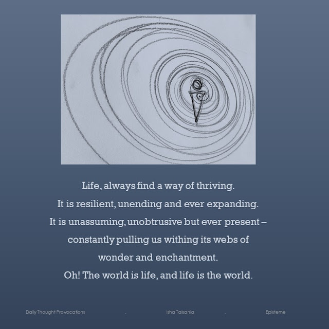 The ever expanding life!