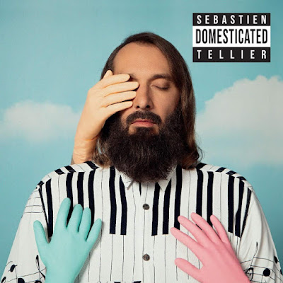 Domesticated Sebastien Tellier Album