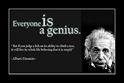 The Genius, Albert Einstein