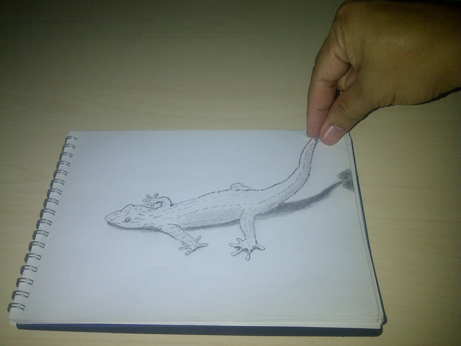 Tinkering with Creative and Innovative 1st 3D Pencil Drawing