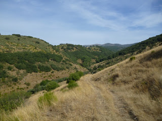 Descenso hacia el Arroyo de Sabugo