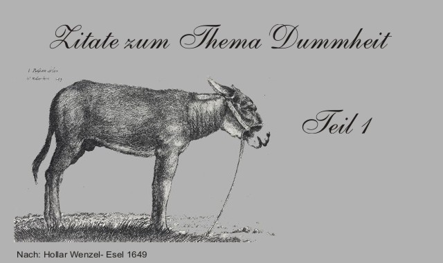 Gedichte Und Zitate Fur Alle Zitate Zum Thema Dummheit Teil 1