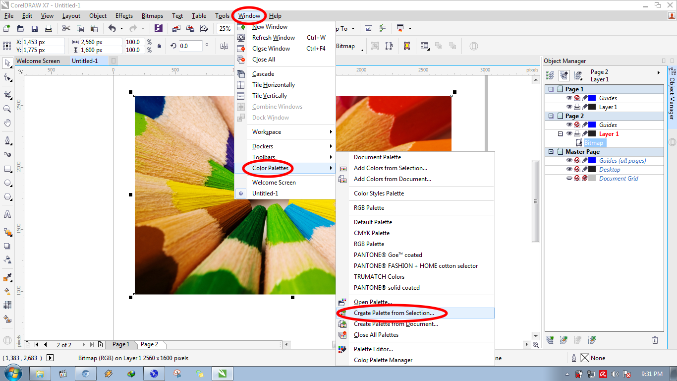 Cara Membuat Palette Warna di CorelDraw dari Foto JPG dan