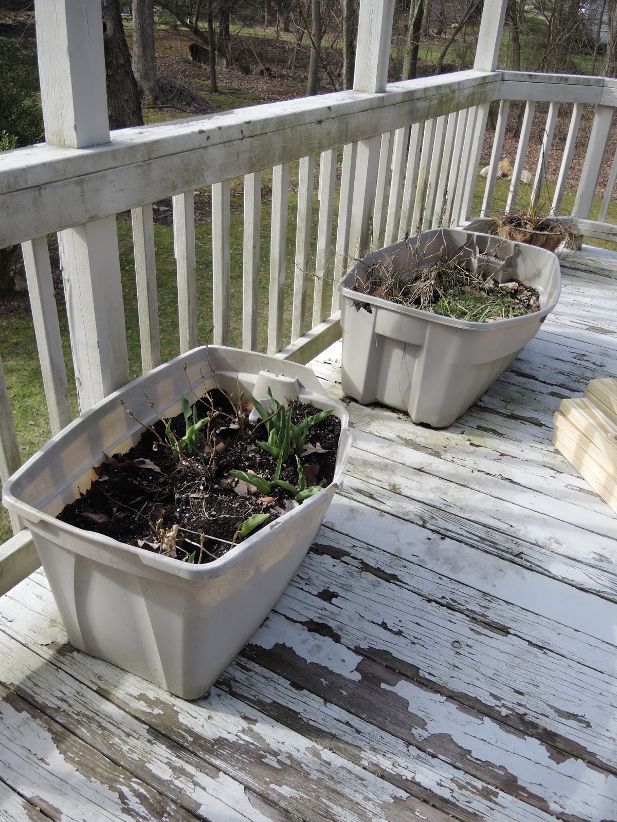 CM Shaw Studios: How to Build a Planter out of Pressure Treated 2x4's