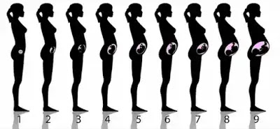 Bodily Changes Bodily Changes