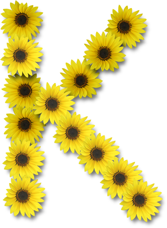 Blindada por Deus: Alfabeto Florido girassol png