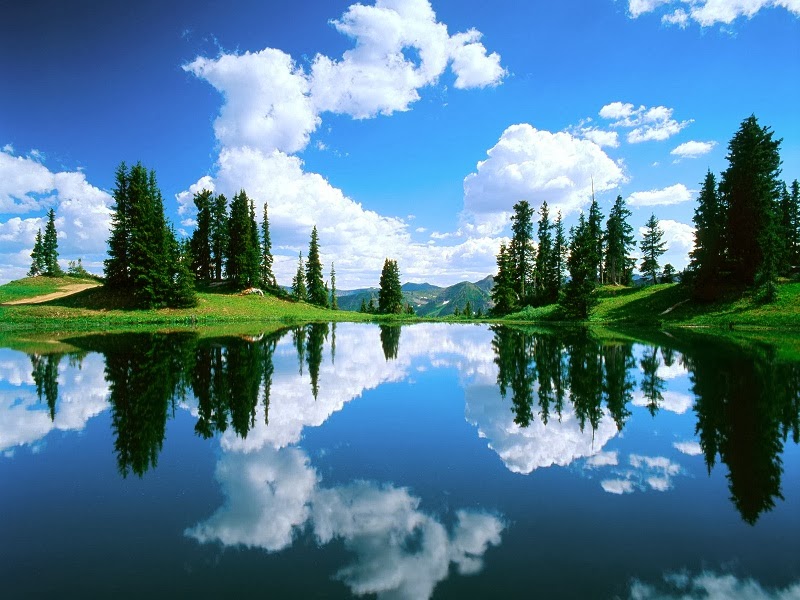 http://www.funmag.org/pictures-mag/nature/nature-reflections-photos/
